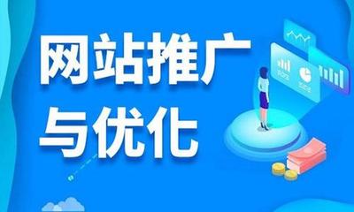 从零开始 网站推广与运营的实用指南